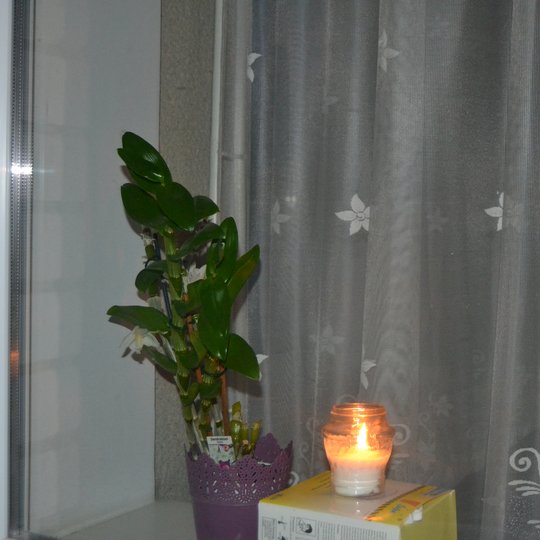 Iliustracija
