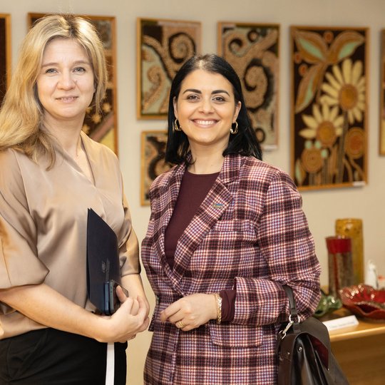 Iliustracija