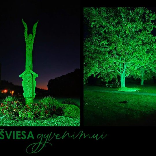 Iliustracija