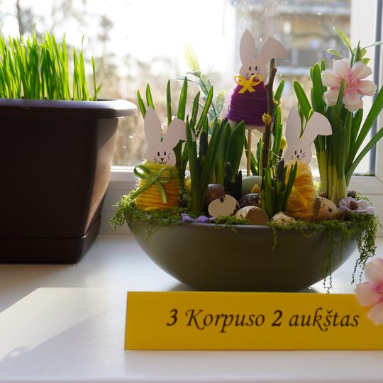 Iliustracija